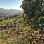 Casa Belo Horizonte - Luxury In The Douro Valley * Santa Leocadia (Porto)