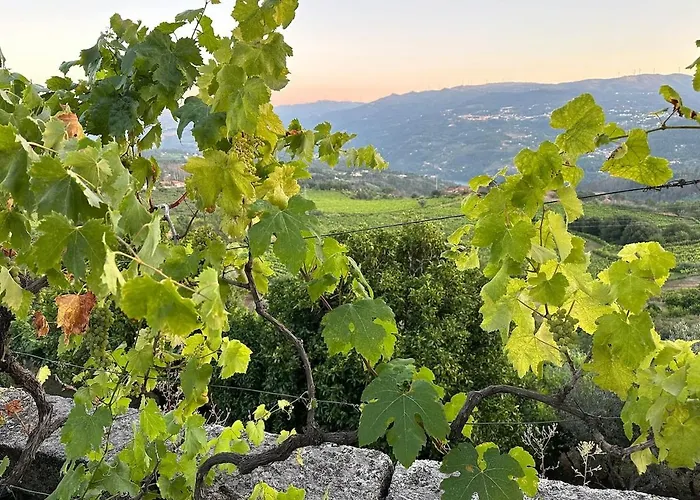 Casa Belo Horizonte - Luxury In The Douro Valley Villa