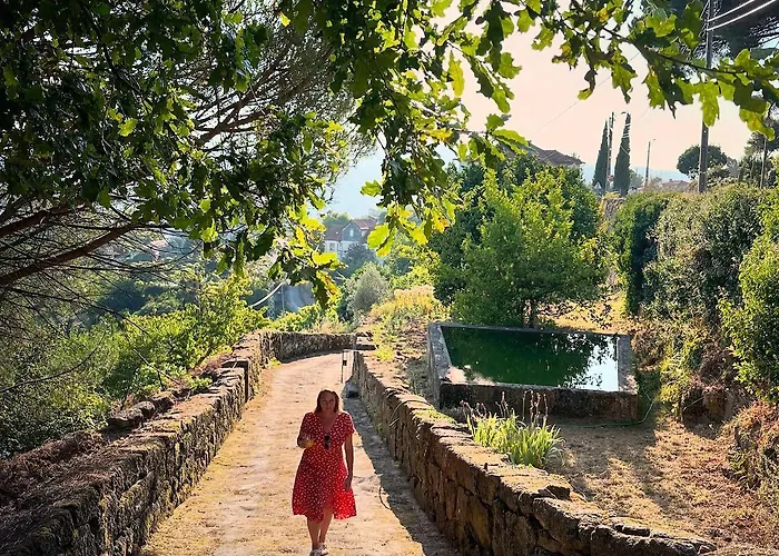 Casa Belo Horizonte - Luxury In The Douro Valley Santa Leocadia (Porto)